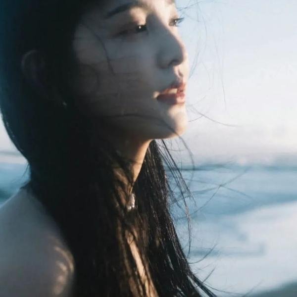 总统特务