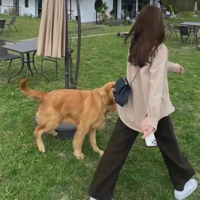 珍爱泉源